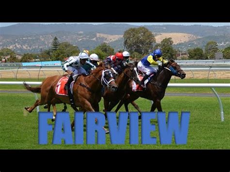 horse racing fairview|12:15 Fairview .